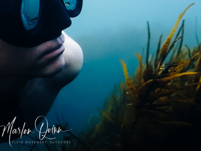 Seachanging – Shiny Black Shoes to Freediving Fins Seachanging – Shiny Black Shoes to Freediving Fins