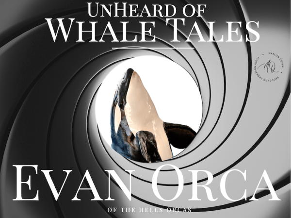 Whale Tales: Hells Orcas – Evan Flips Whale Tales: Hells Orcas – Evan Flips