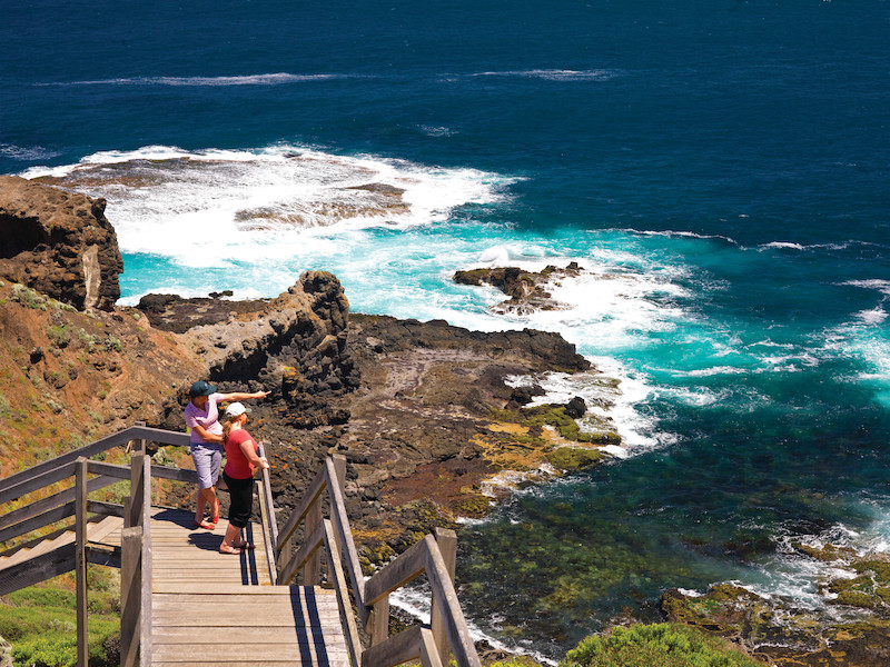Best Whale Watching Spots Cape Schanck and Mornington Peninsula