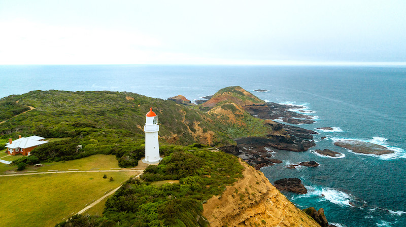 Best Whale Watching Spots Cape Schanck and Mornington Peninsula