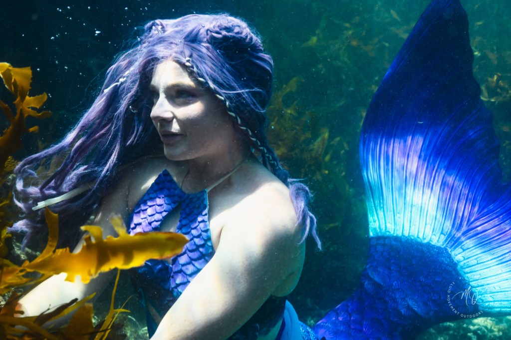 Marianna Mermaid Mornington Peninsula Underwater Photoshoot