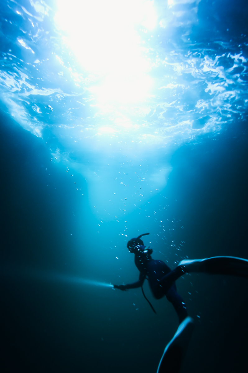 Searching for a new career in snorkelling freediving and breathwork