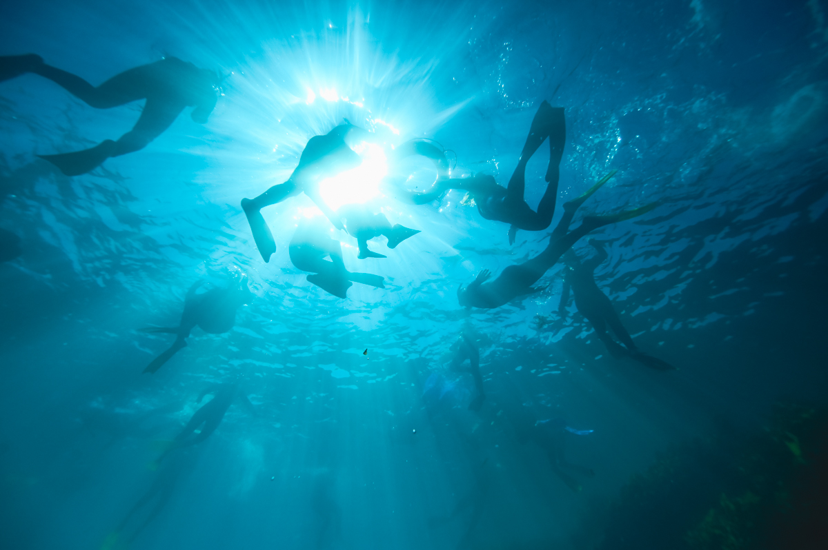 Best PADI Snorkel Guide Instructor SISOSNK002 Training Australia