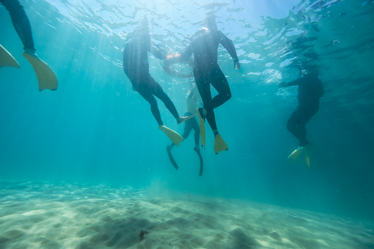Best PADI Snorkel Guide Instructor SISOSNK002 Training Australia