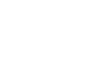 Polperro Dolphin Swims Sorrento