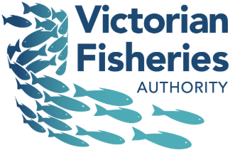 Victorian Fisheries Authority Freediving training