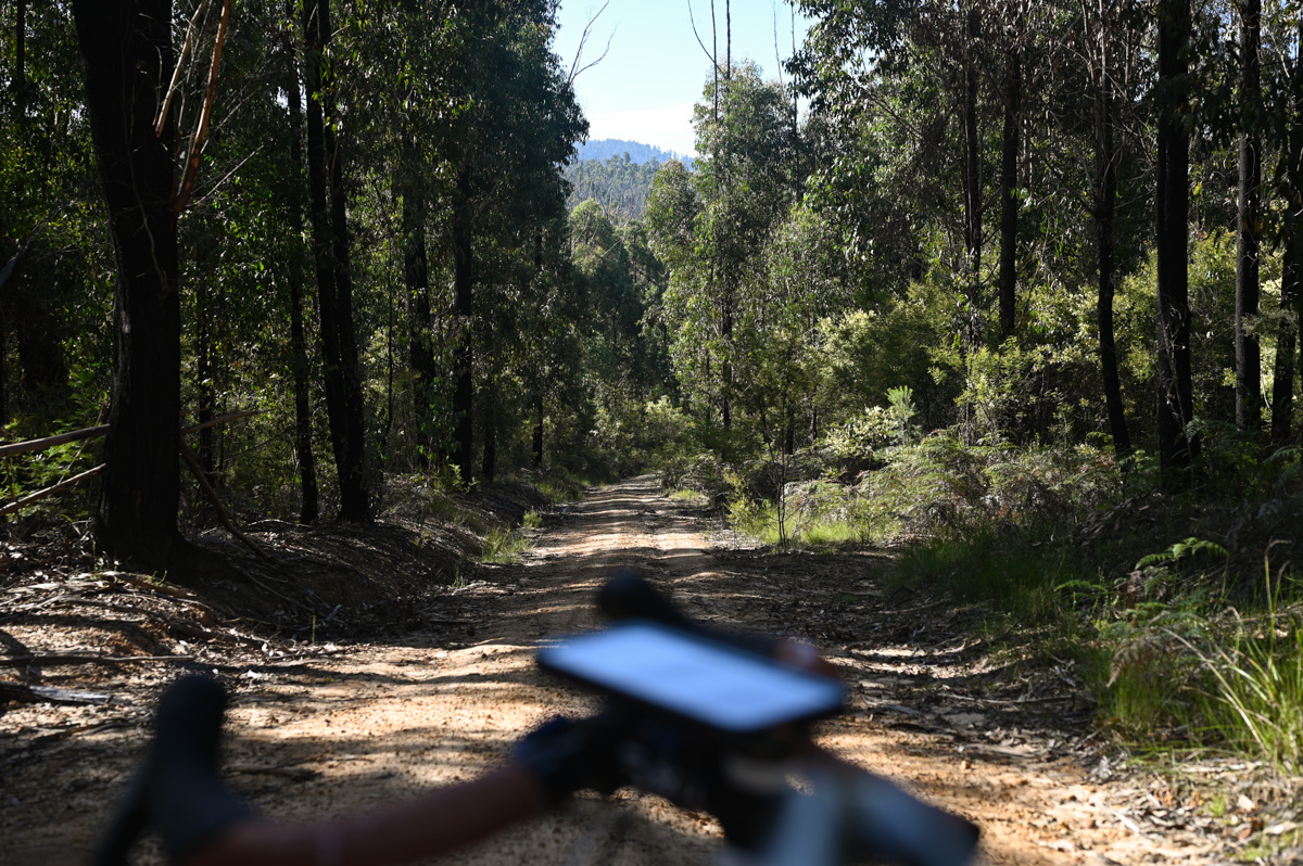 Gravel Ride Bonang Gippsland