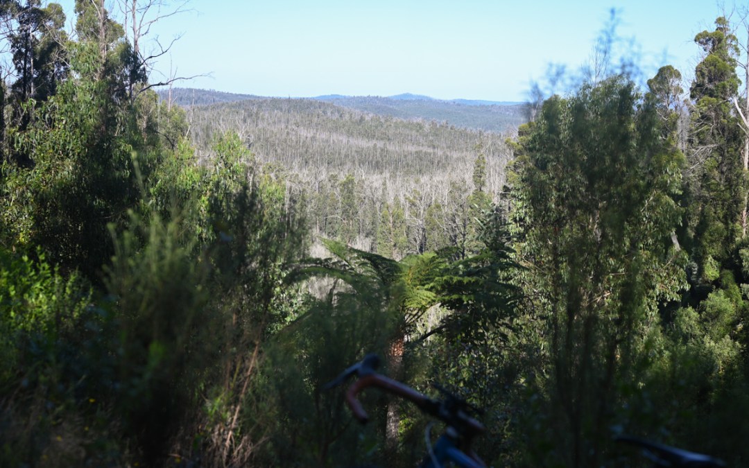 Wilderness of Scene. And Mind. The Cathartic Displeasure of Effort