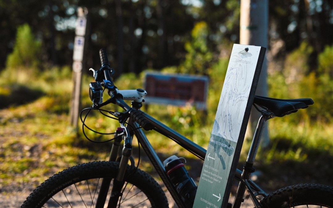 Breathe the Forest – Gravity Eden: Deep Slow Breathing for an Optimal You