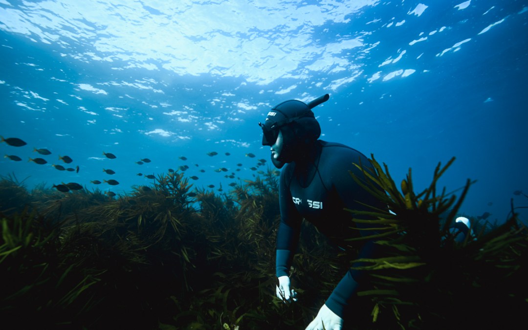 Re-Wilding: Journeying into Nature’s Unpredictable Oceanic Ways and Holding Your Breath