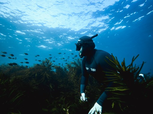 Re-Wilding: Journeying into Nature’s Unpredictable Oceanic Ways and Holding Your Breath Re-Wilding: Journeying into Nature’s Unpredictable Oceanic Ways and Holding Your Breath