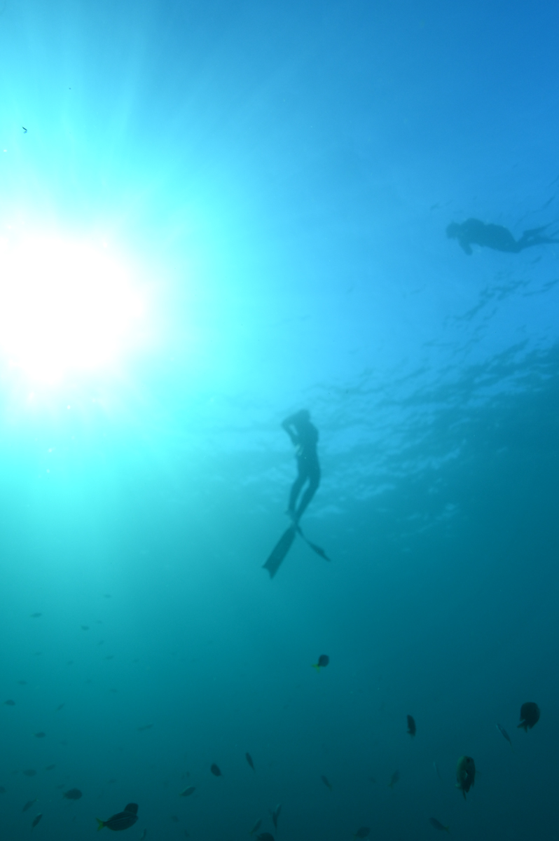 Freediver rising to the surface with sunshine above