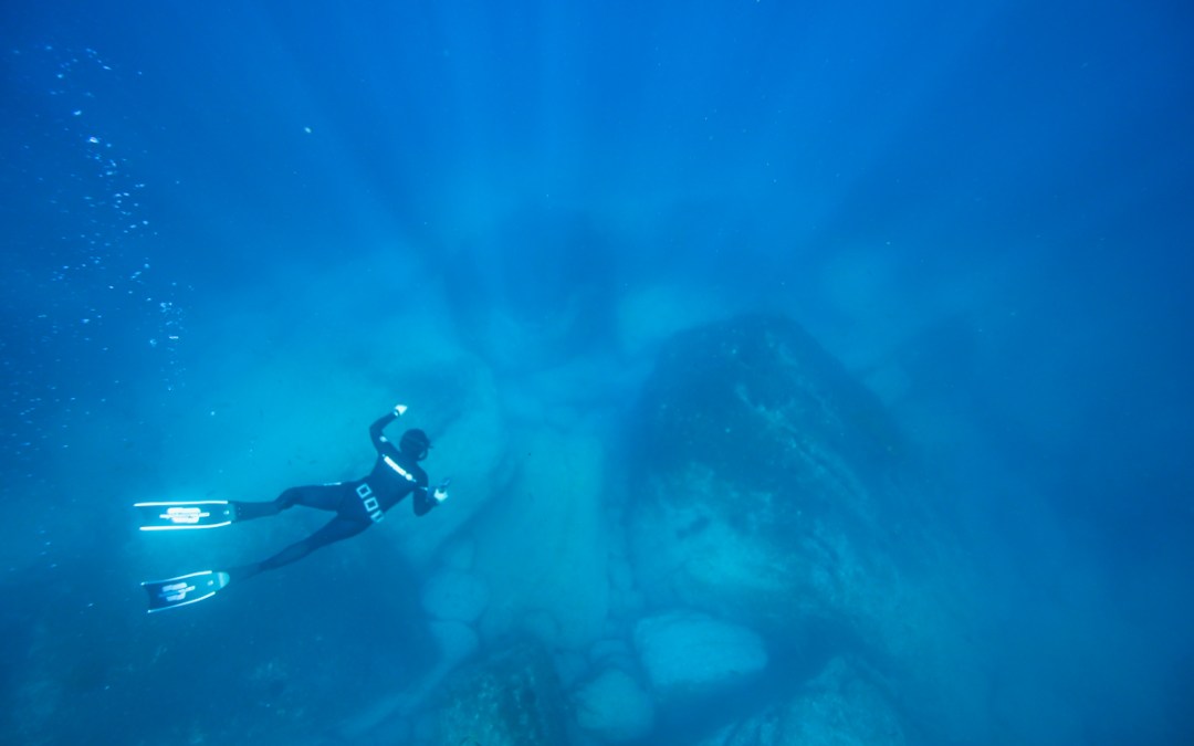 Swimming with Sharks and Loosening the Grip of Our Fears