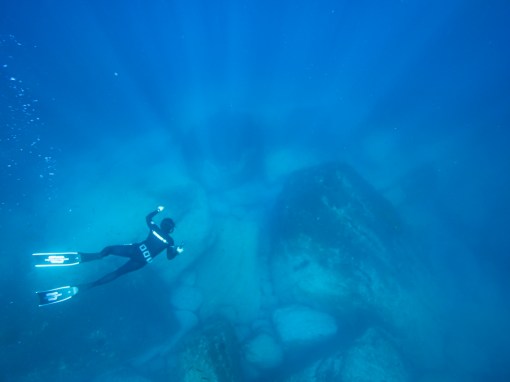 Swimming with Sharks and Loosening the Grip of Our Fears Swimming with Sharks and Loosening the Grip of Our Fears
