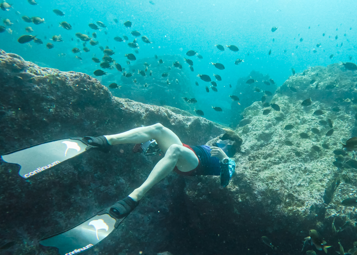 Marlon Quinn freediving in the ocean with schooling fish near Jervis Bay NSW