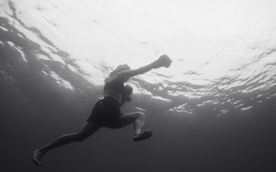 The Tool for Leaders, Executives and Professionals to Prosper During Turbulence and Intensity