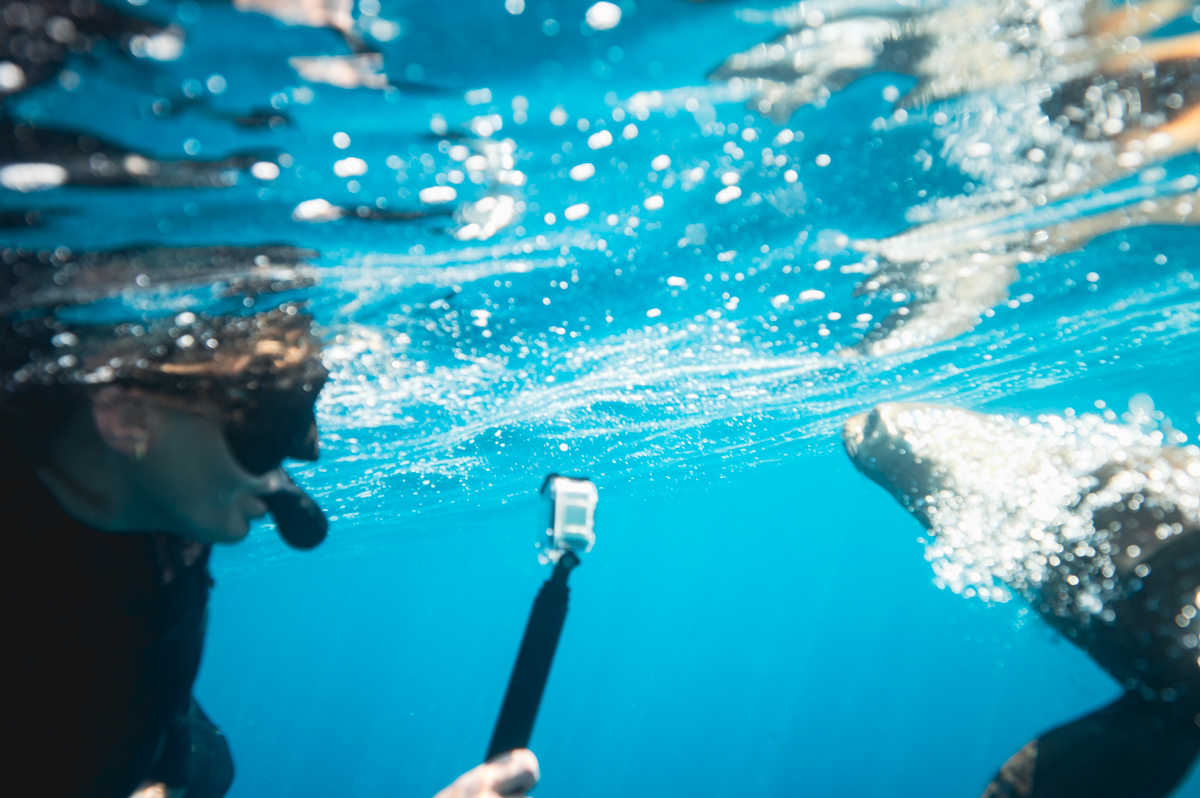 advanced snorkelling skindiver course in victoria and NSW australia
