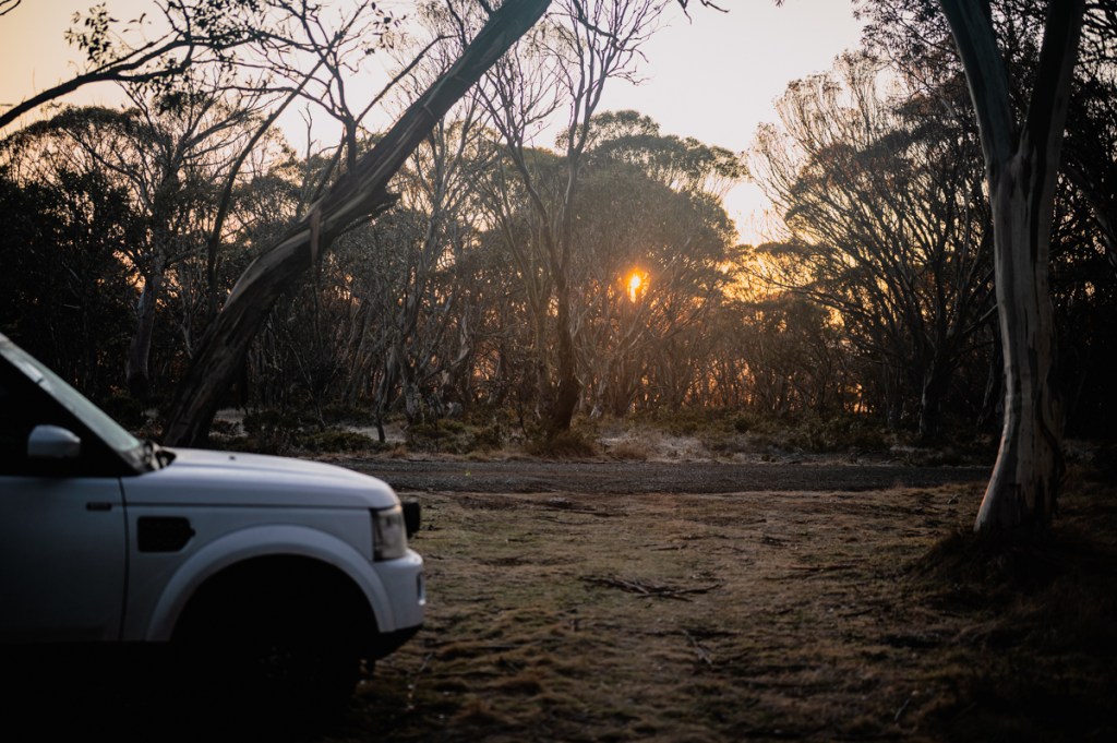 Sunset in the trees of Vic Alps High Country