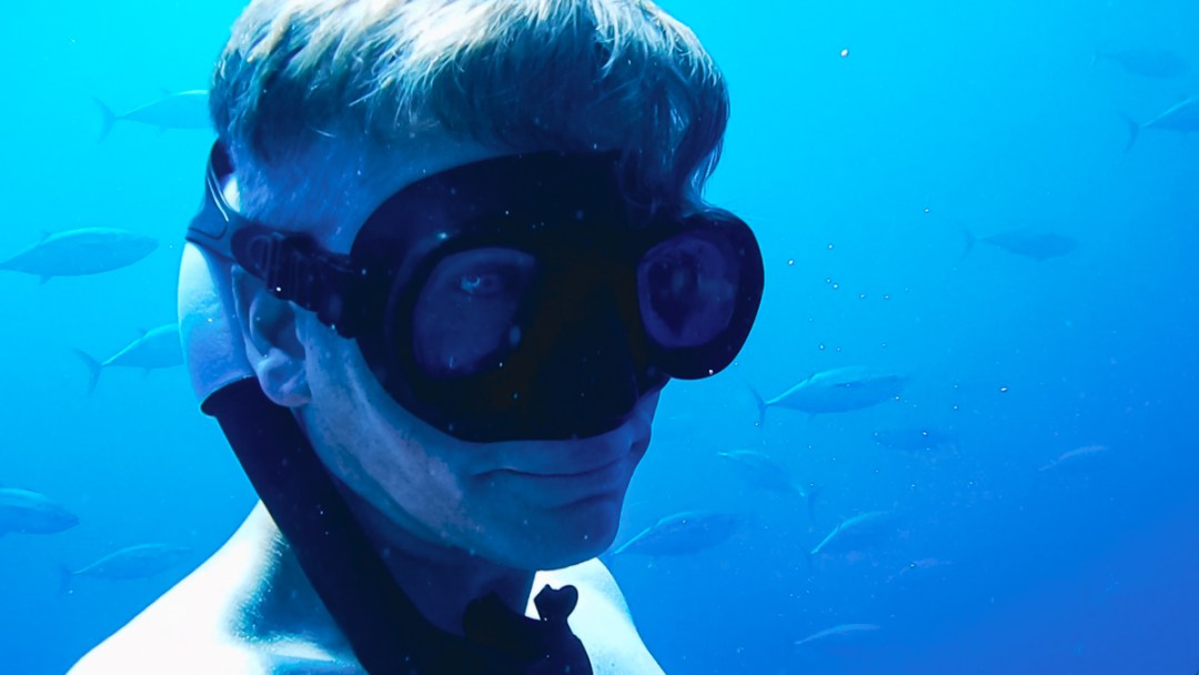 Swimming Freely with Wild Dolphins and Tuna – A Freediving Course Takes You Closer