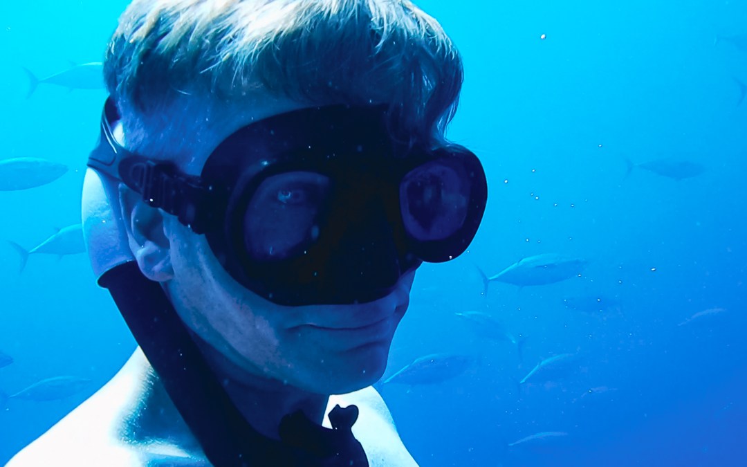 Swimming Freely with Wild Dolphins and Tuna – A Freediving Course Takes You Closer