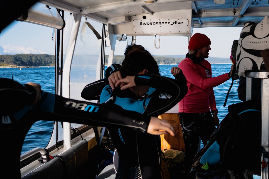 A Day Whale Swim Tour with Woebegone Jervis Bay